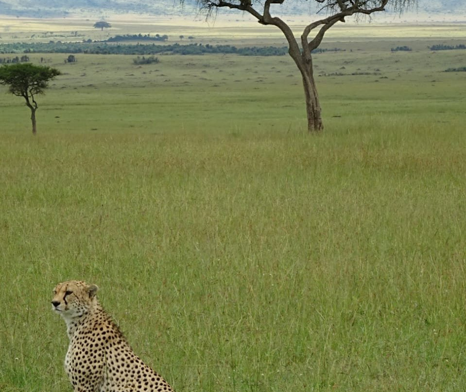 Safari Mapeka景点图片