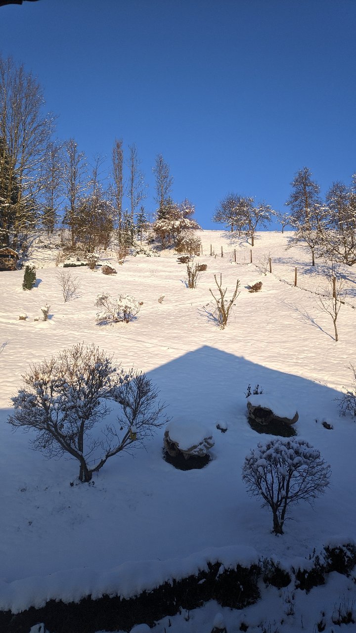 Haus Loidl-官方
