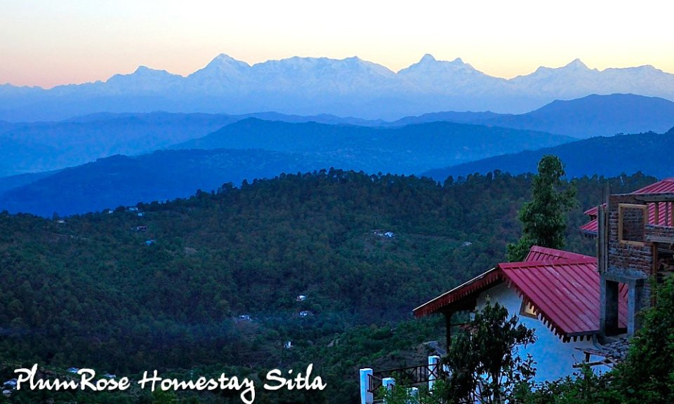 Plumrose Homestay Cottage