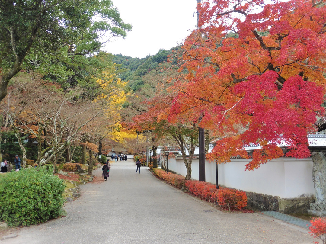 Momijidani Park景点图片