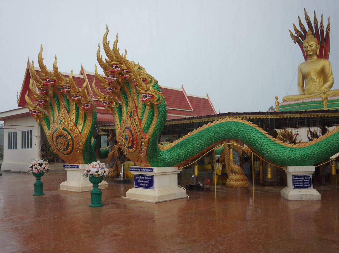 Wat Pa Sawang Tham景点图片