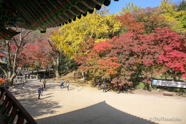 Baekyangsa Temple-长城郡必去景点