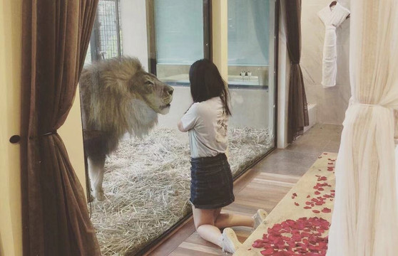 贾马拉野生动物山林小屋主图