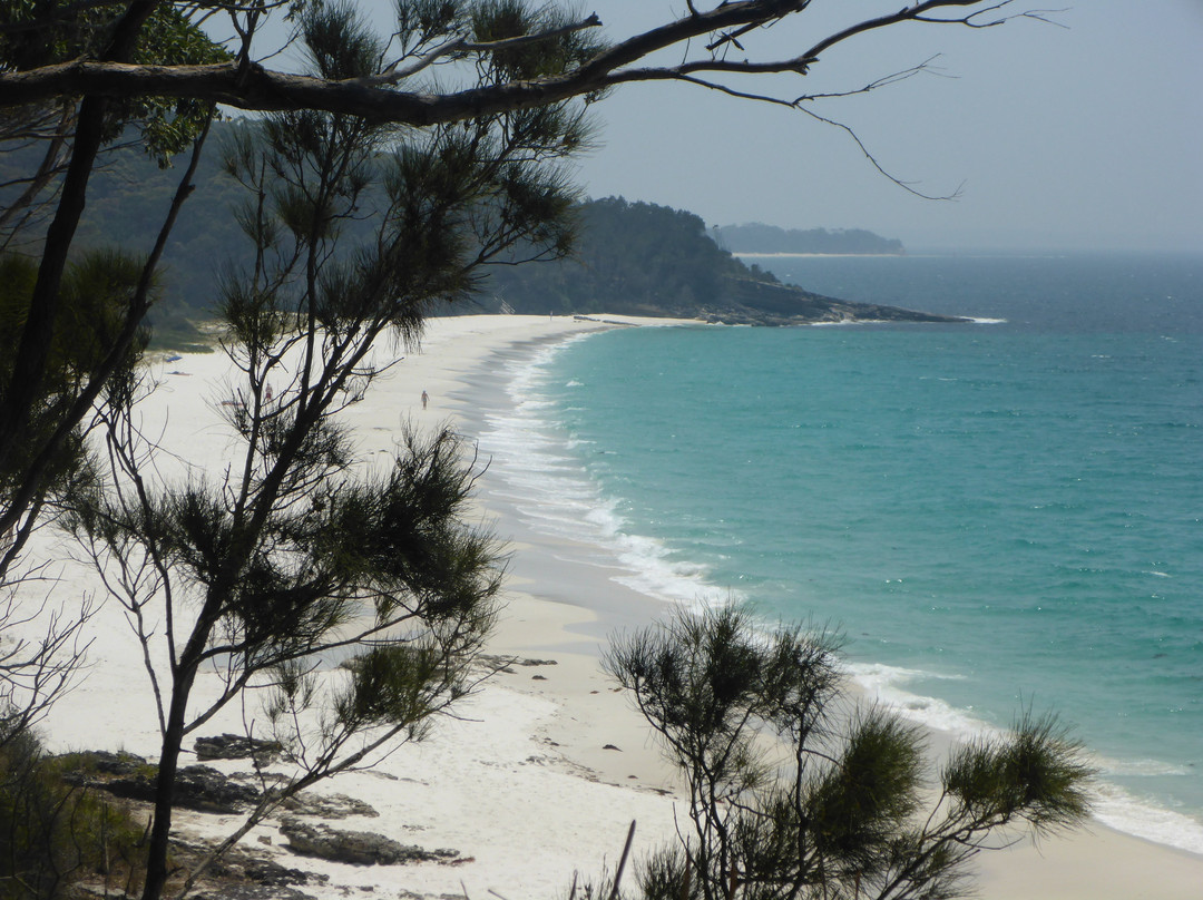 Hyams Beach景点图片