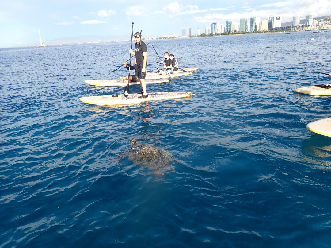 Duke’s Lagoon-火奴鲁鲁必去景点