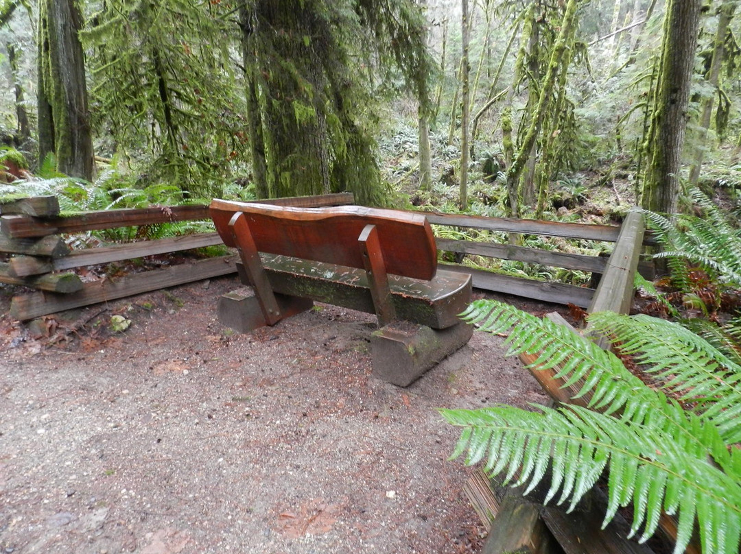 Burnett Falls Park-Sechelt必去景点
