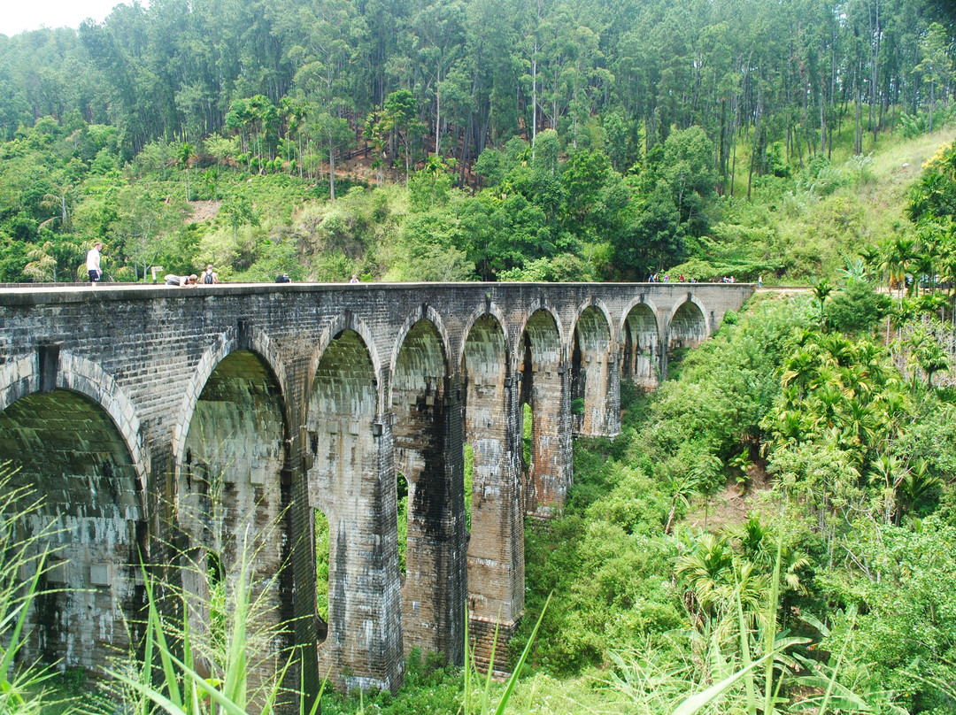 Travelling in Sri lanka景点图片