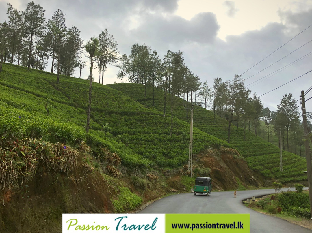 Castlereigh Holiday Bungalow主图