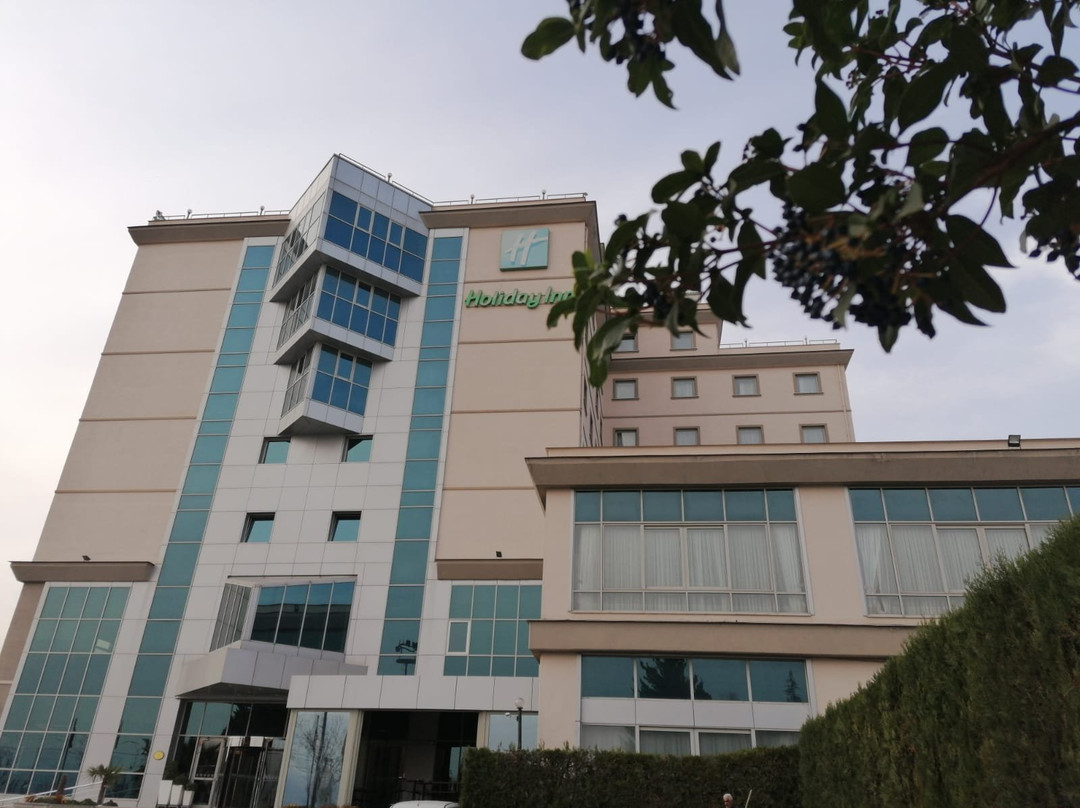 Euro Park Hotel Bursa主图