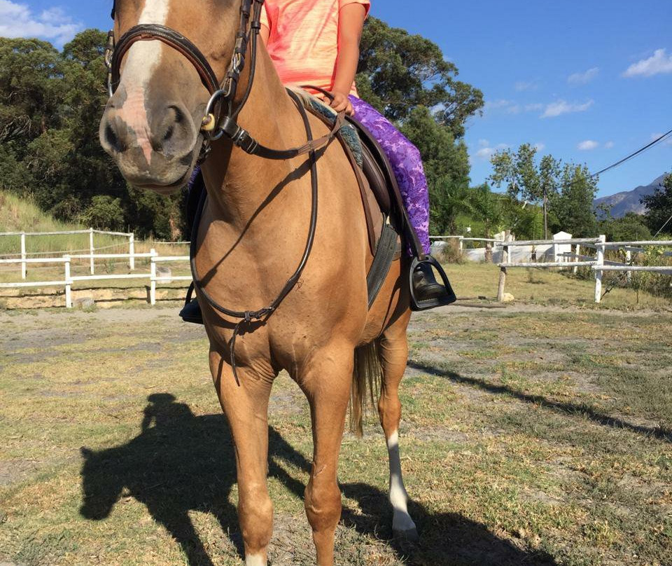 Eagles View Equestria at Klein Lanzerac-Elsenburg必去景点