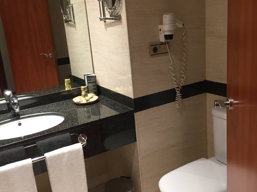 圣拉萨罗欧洲之星酒店主图