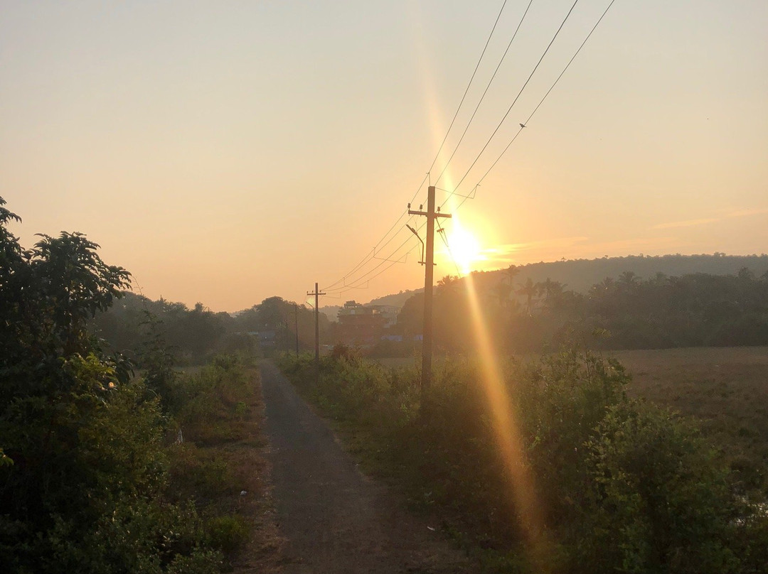 OYO 15487 Ashoka King主图