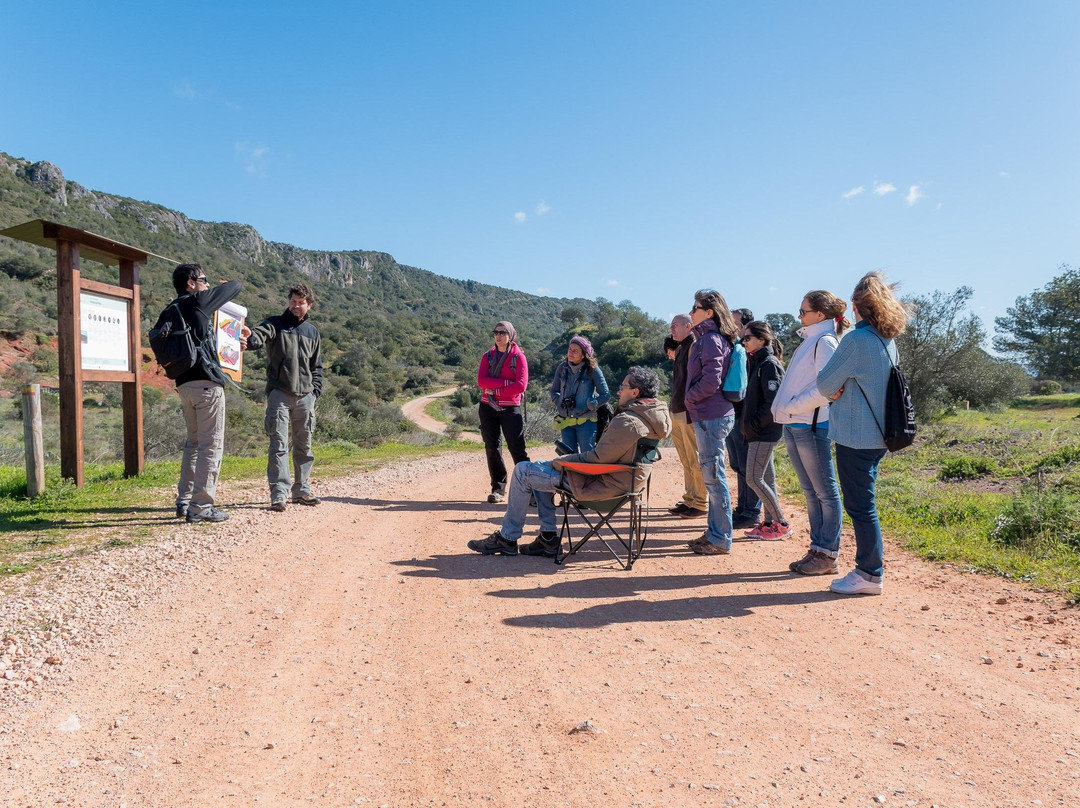 Sustainable Travels-奥良必去景点