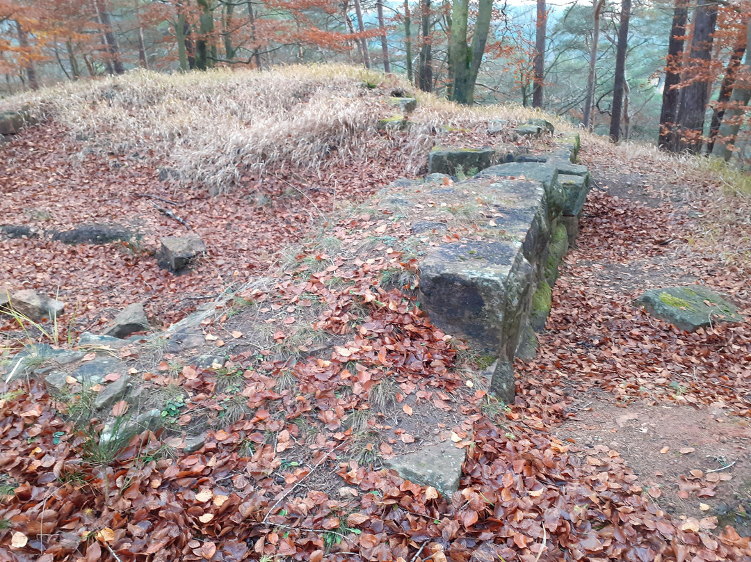 Burgruine Perlenberg-Bann必去景点