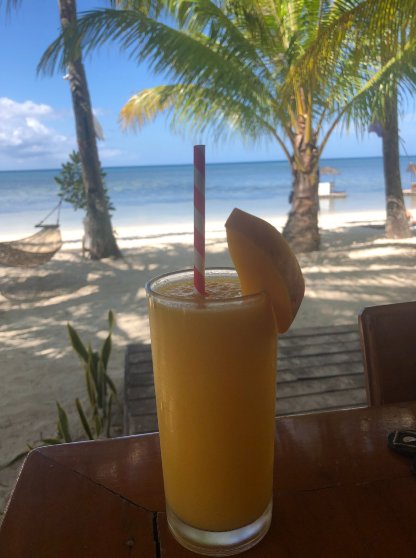 布鲁斯豪华私人小屋-浴室