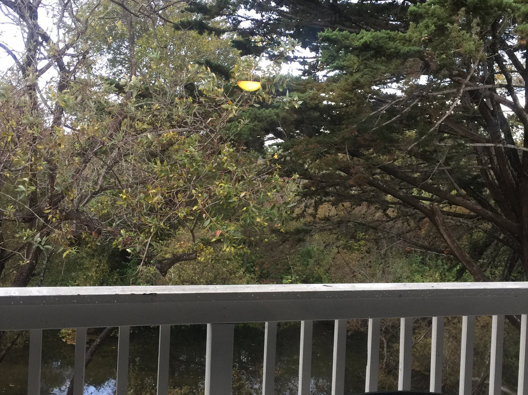 卡梅尔河旅馆主图