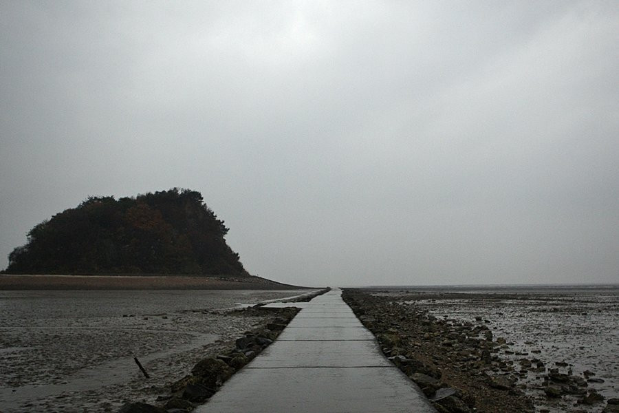 Tando Port-安山市必去景点