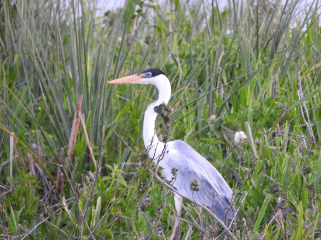 Hospedaje San Cayetano主图