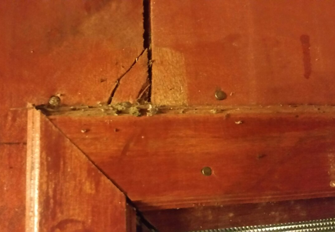 陆地洛格斯洛奇酒店主图