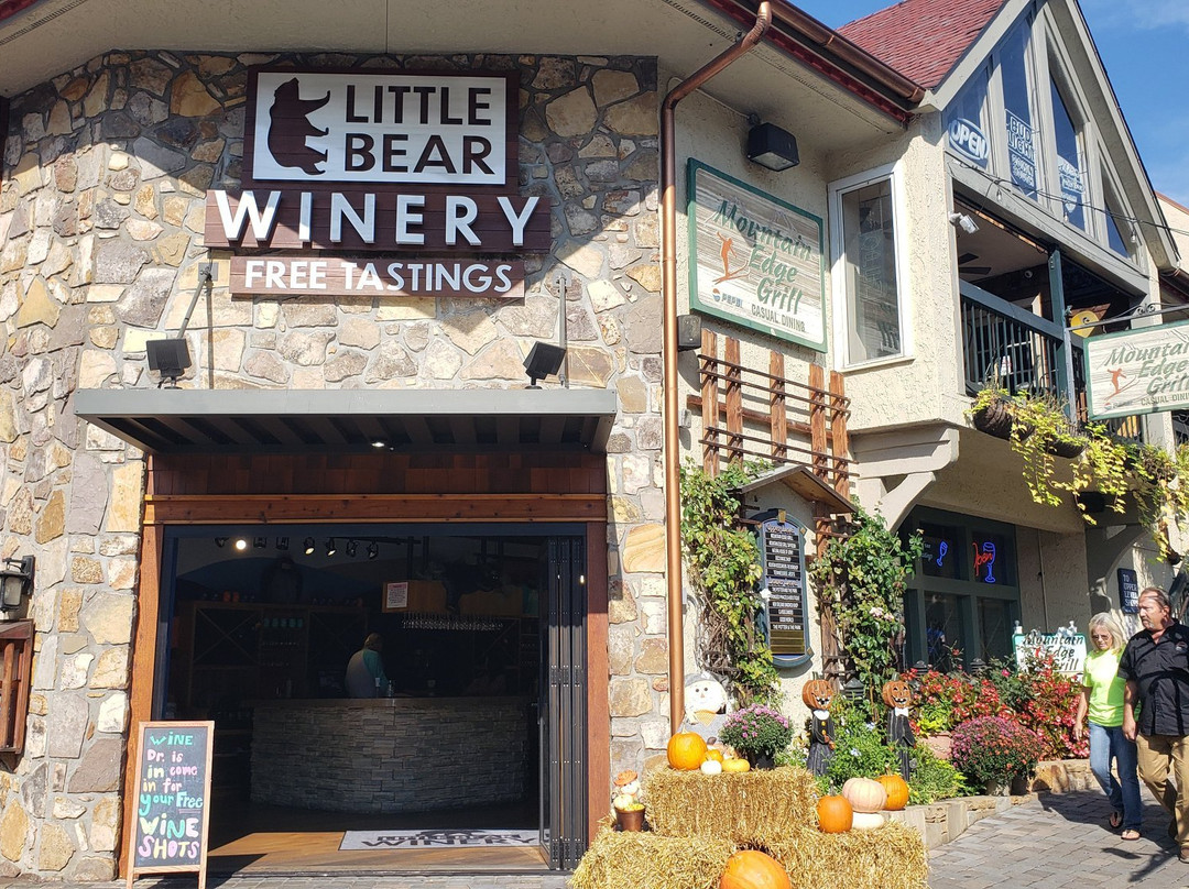 塞维尔县旅游景点-Little Bear Winery