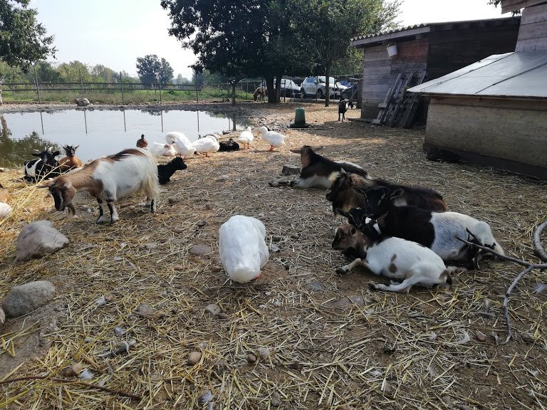 Agriturismo Cascina Boschi主图