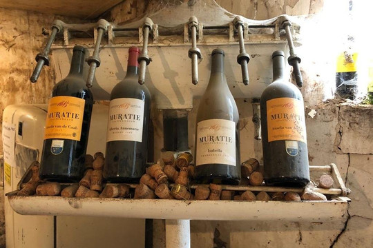 Kreef Tours-斯泰伦博斯必去景点