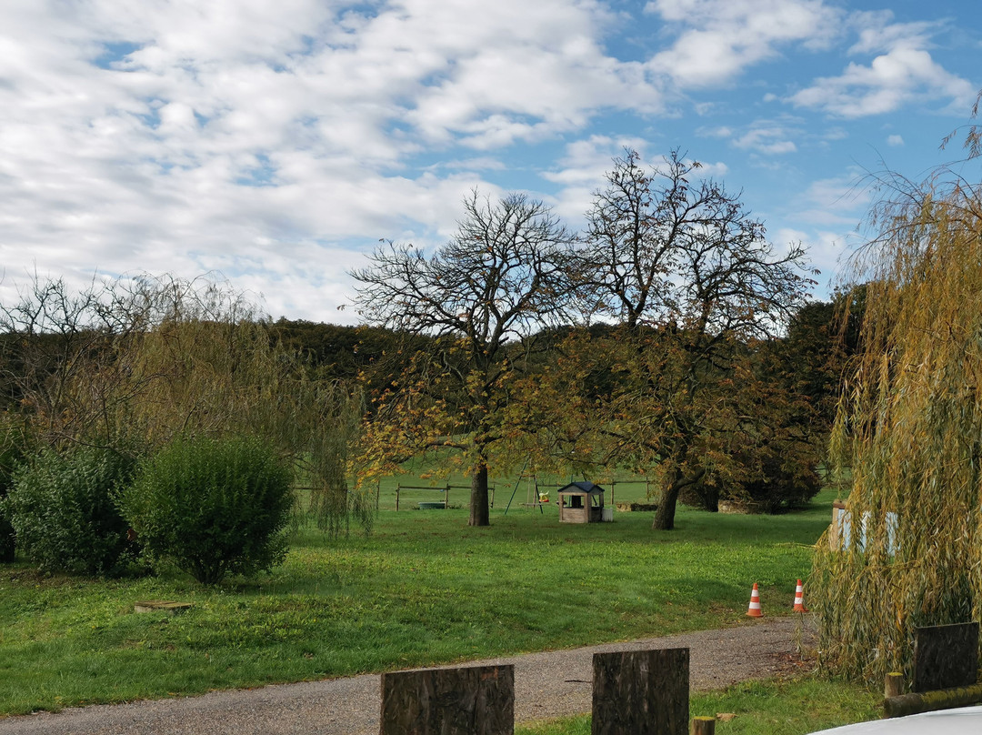 Gites et Roulottes au Domaine de la Trille主图