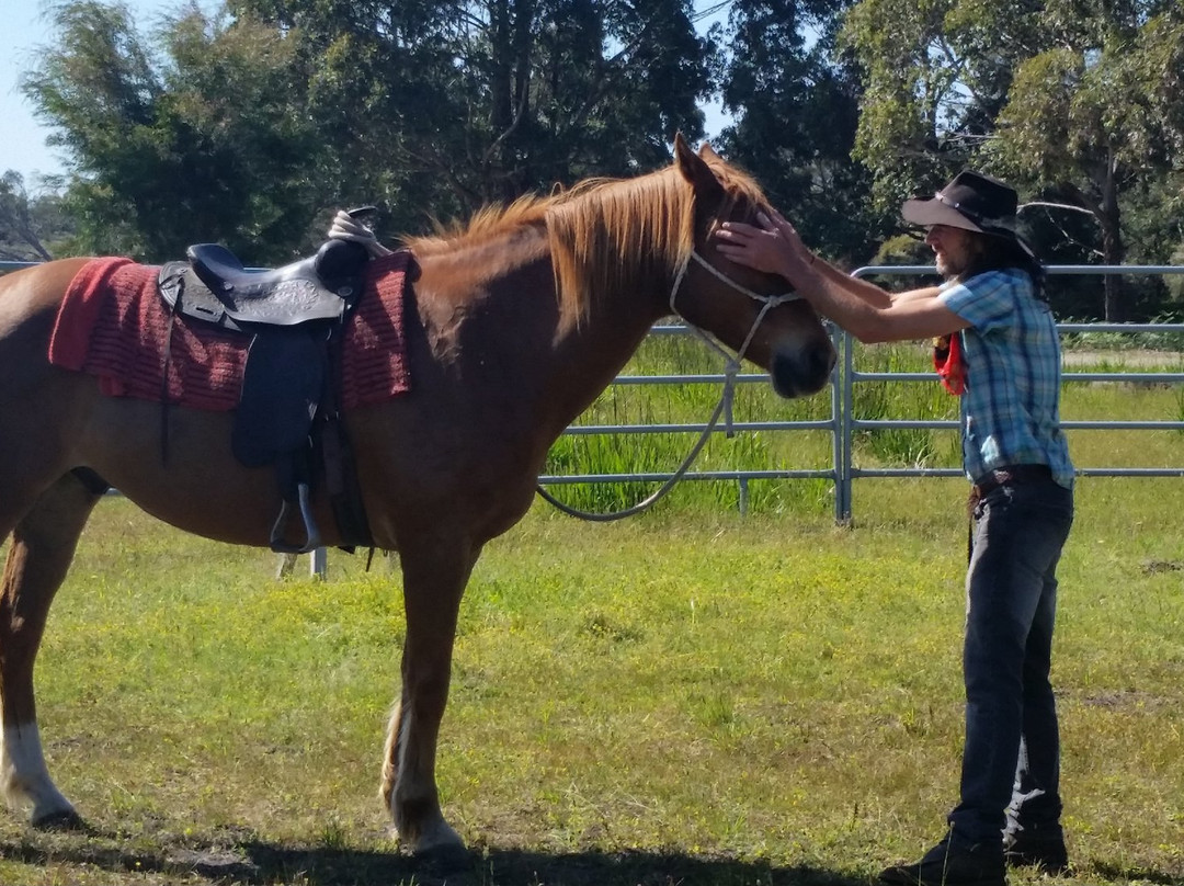 Brumbies Run-丹麦必去景点