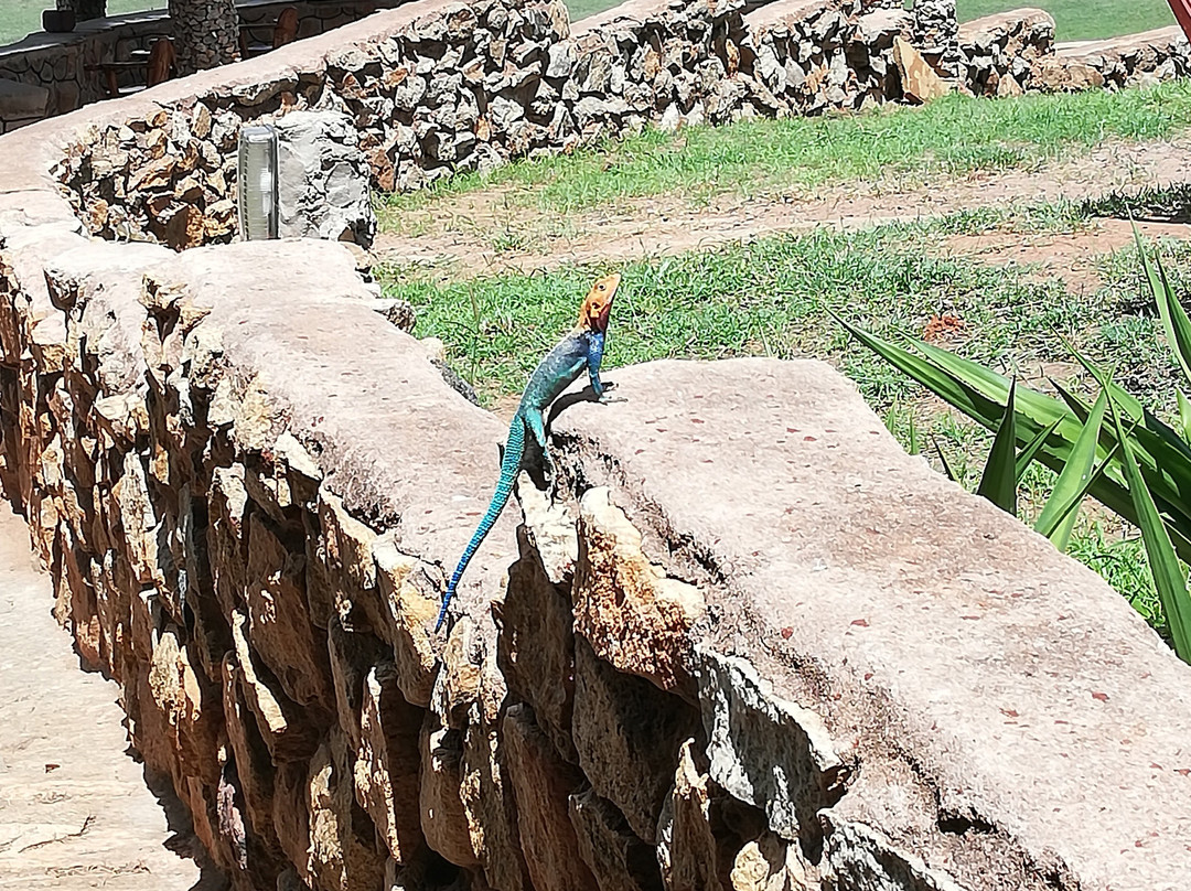 Adventure Mara Tours-蒙巴萨必去景点