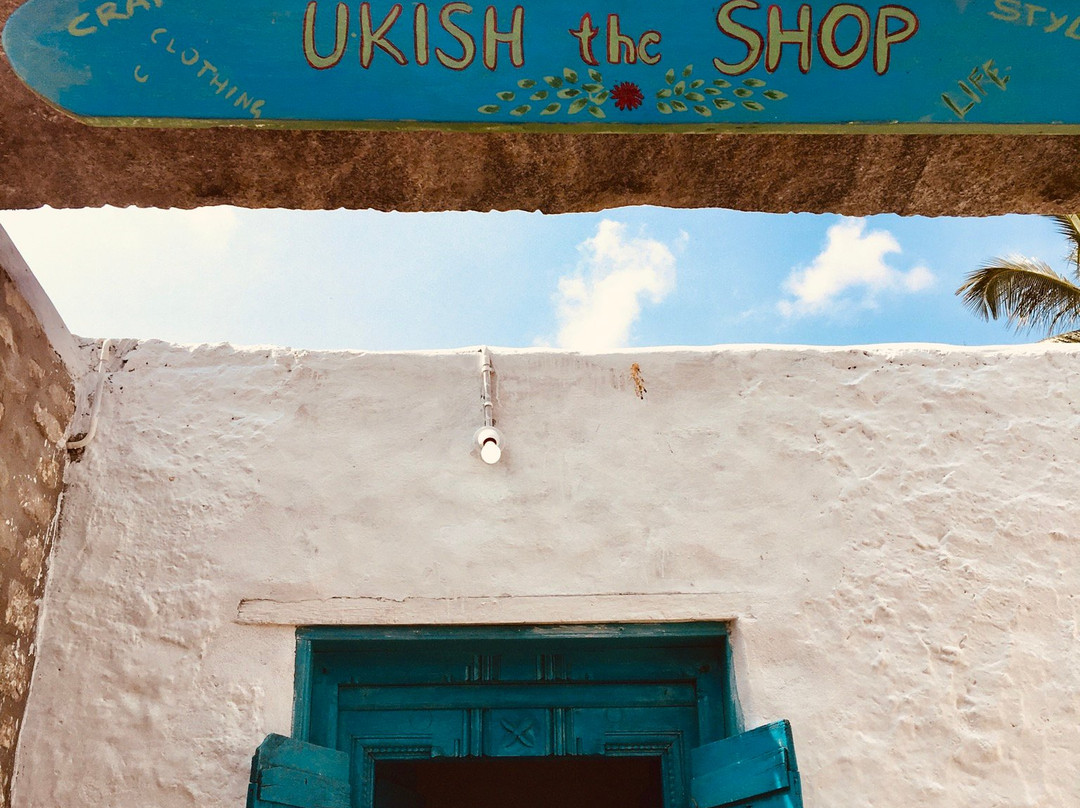 Anegundi Fort-亨比必去景点