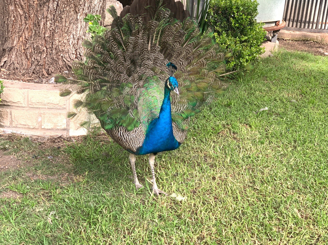 Hotel Villa Florencia主图