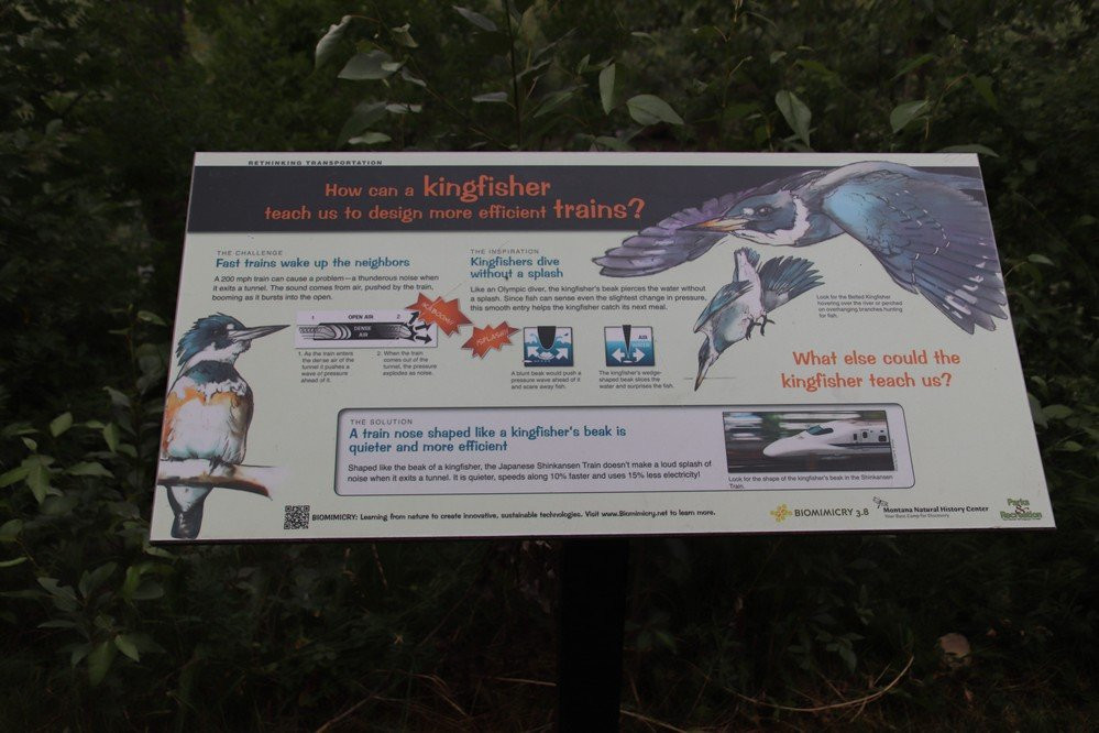 Clarks Fork Trail-库克城必去景点