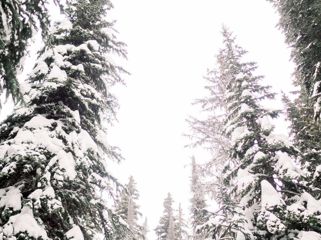 Sovereign Lake Nordic Club-弗农必去景点