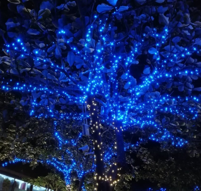 夏日美食广场-三亚市必去景点