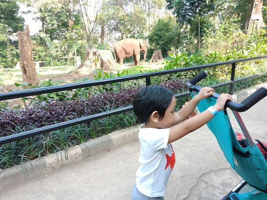 Bandung Zoo-万隆必去景点