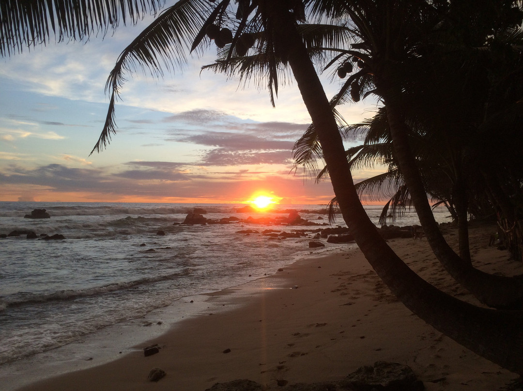 米迪加玛酒店住宿-Jayanthi Surf Dreams