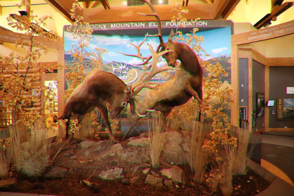 Rocky Mountain Elk Foundation-米苏拉必去景点