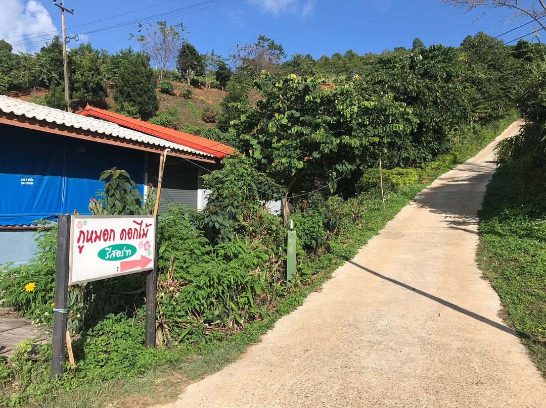 Phu Mok Dok Mai Resort主图