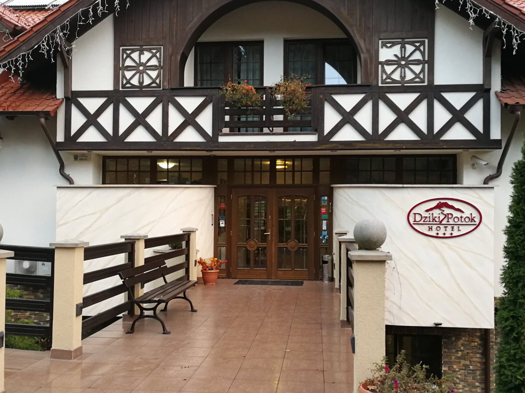 Dziki Potok Hotel & SPA主图