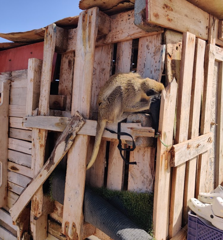 Spot Travel Tours-Espargos必去景点