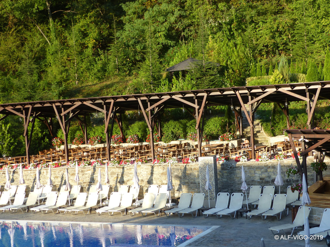 Asenevtsi Park Hotel主图