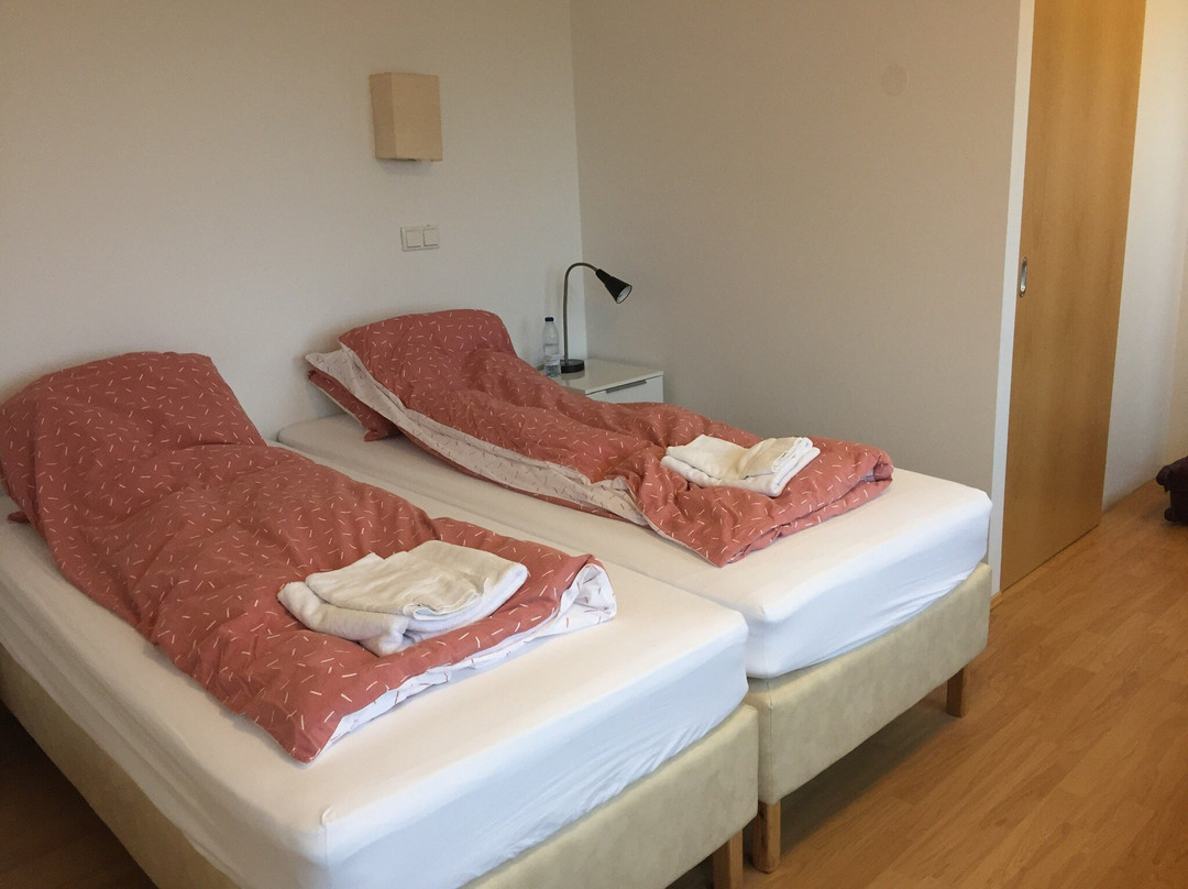 Brekka í Lóní Farm Stay主图