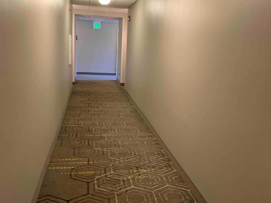 Staybridge Suites Wilmington - Wrightsville Beach by IHG主图