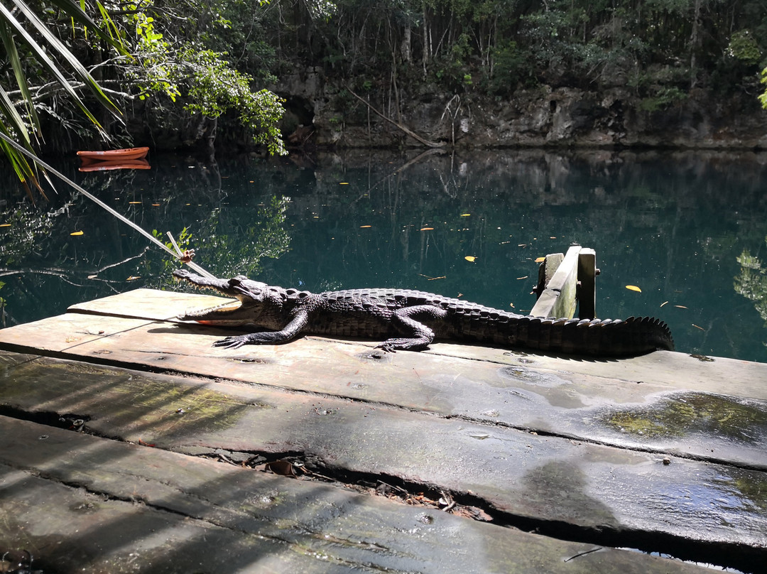 ProRec Dive Center-图伦必去景点