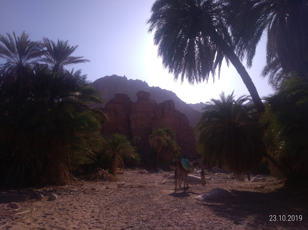 Ein Kid-达哈卜必去景点