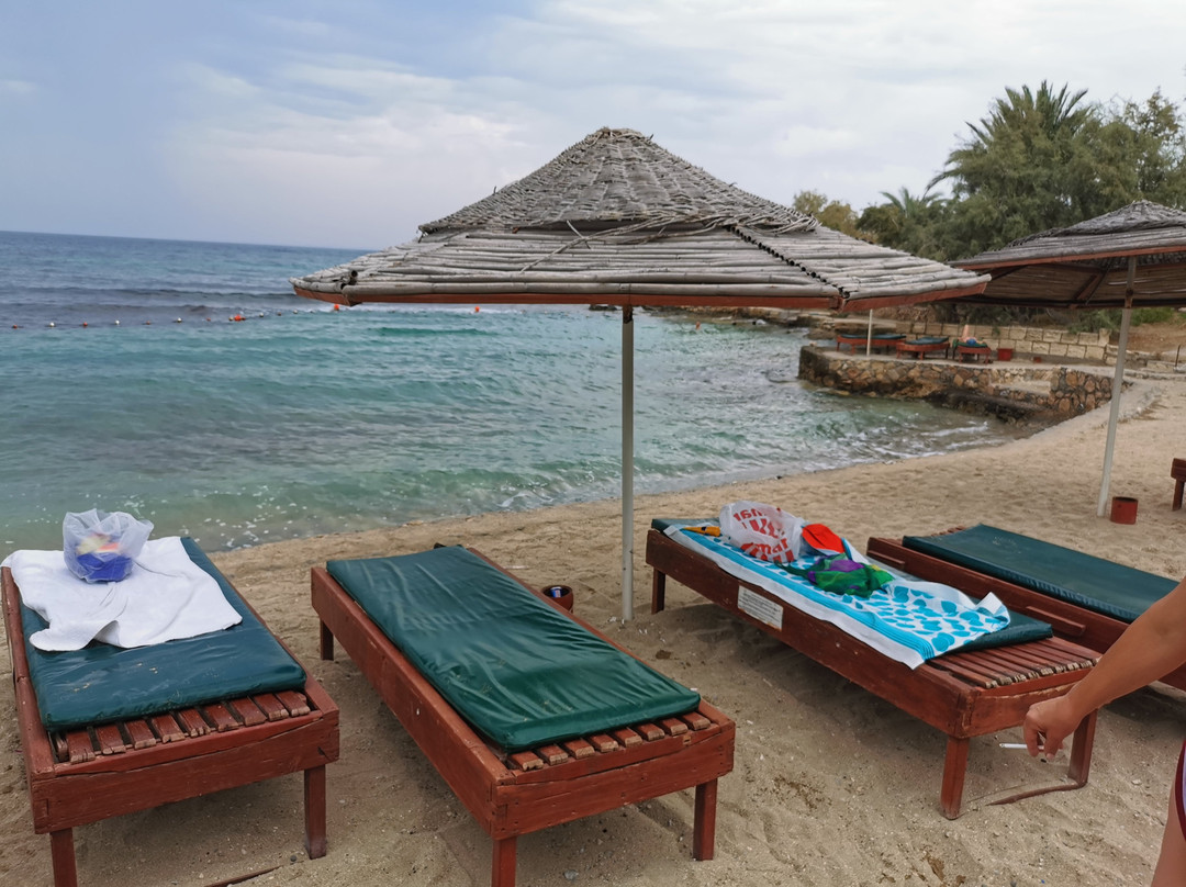 Riviera Beach Bungalows主图