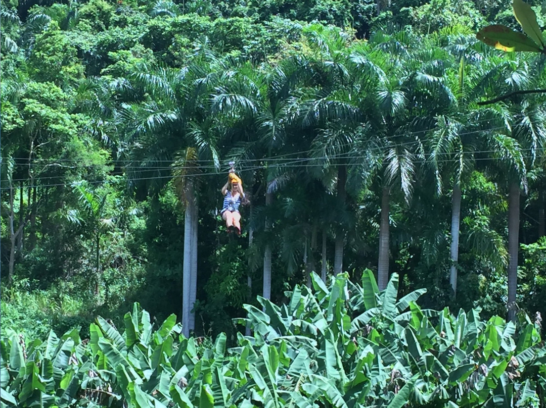 Yunque Ziplining-Luquillo必去景点