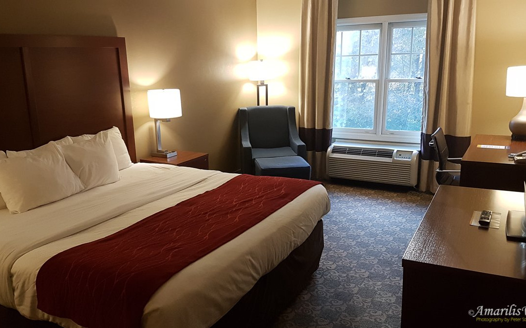 Comfort Inn Brunswick主图