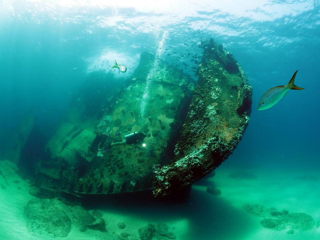 Ultra Marine Divers-蓬塔卡纳必去景点