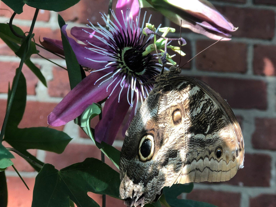 Portsmouth Natural History Museum-普兹茅斯必去景点
